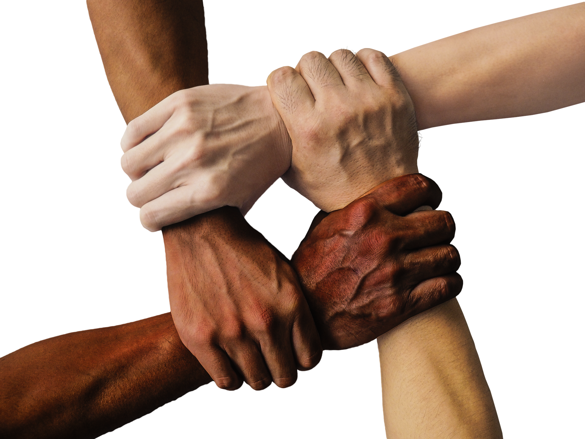 Die Hände vier unterschiedlicher Menschen halten sich gegenseitig fest. Das ist ein Zeichen dafür, dass es nur im Team klappt.